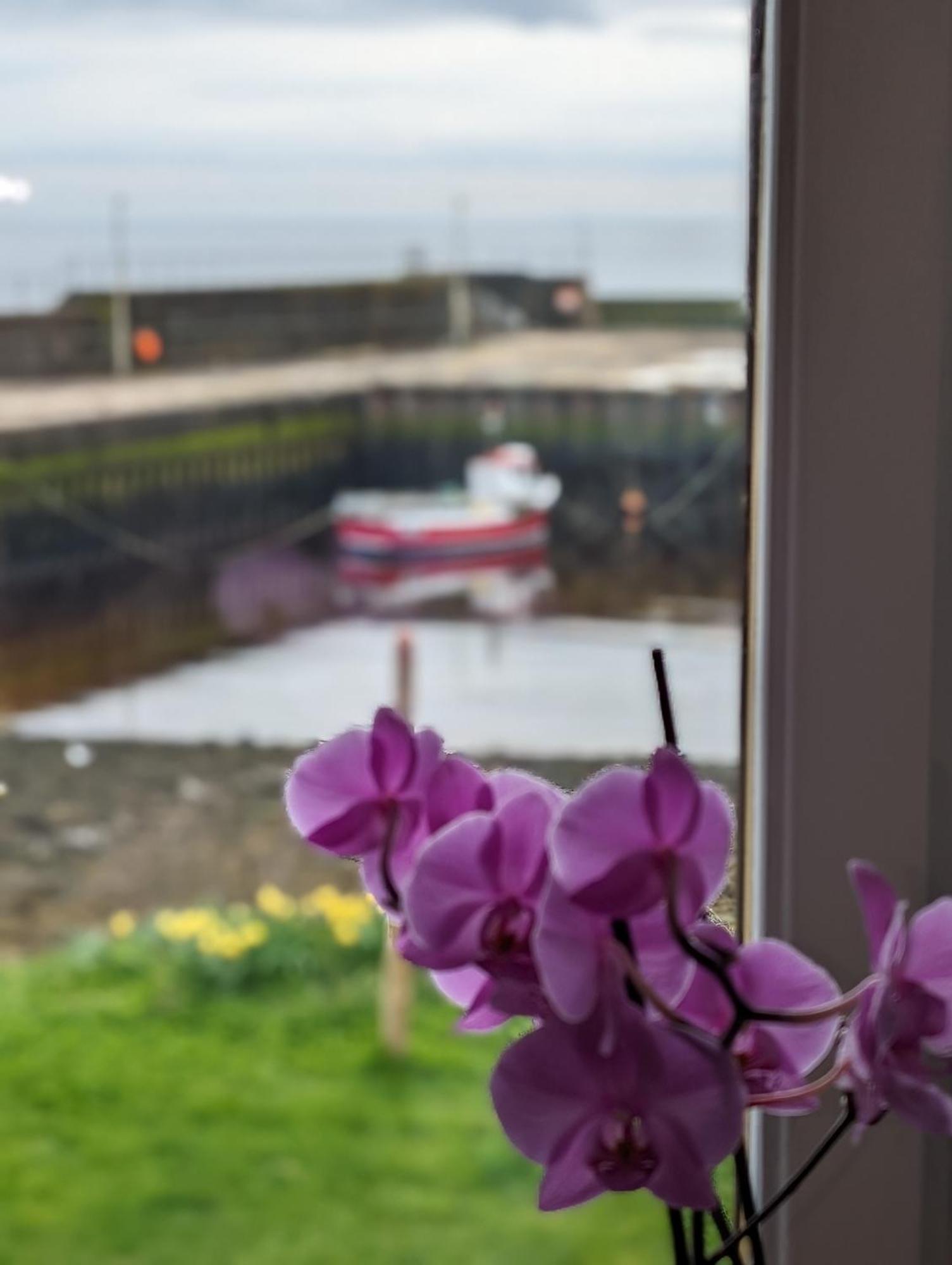 Bed and Breakfast Sea Song, Selkie House Helmsdale Zewnętrze zdjęcie