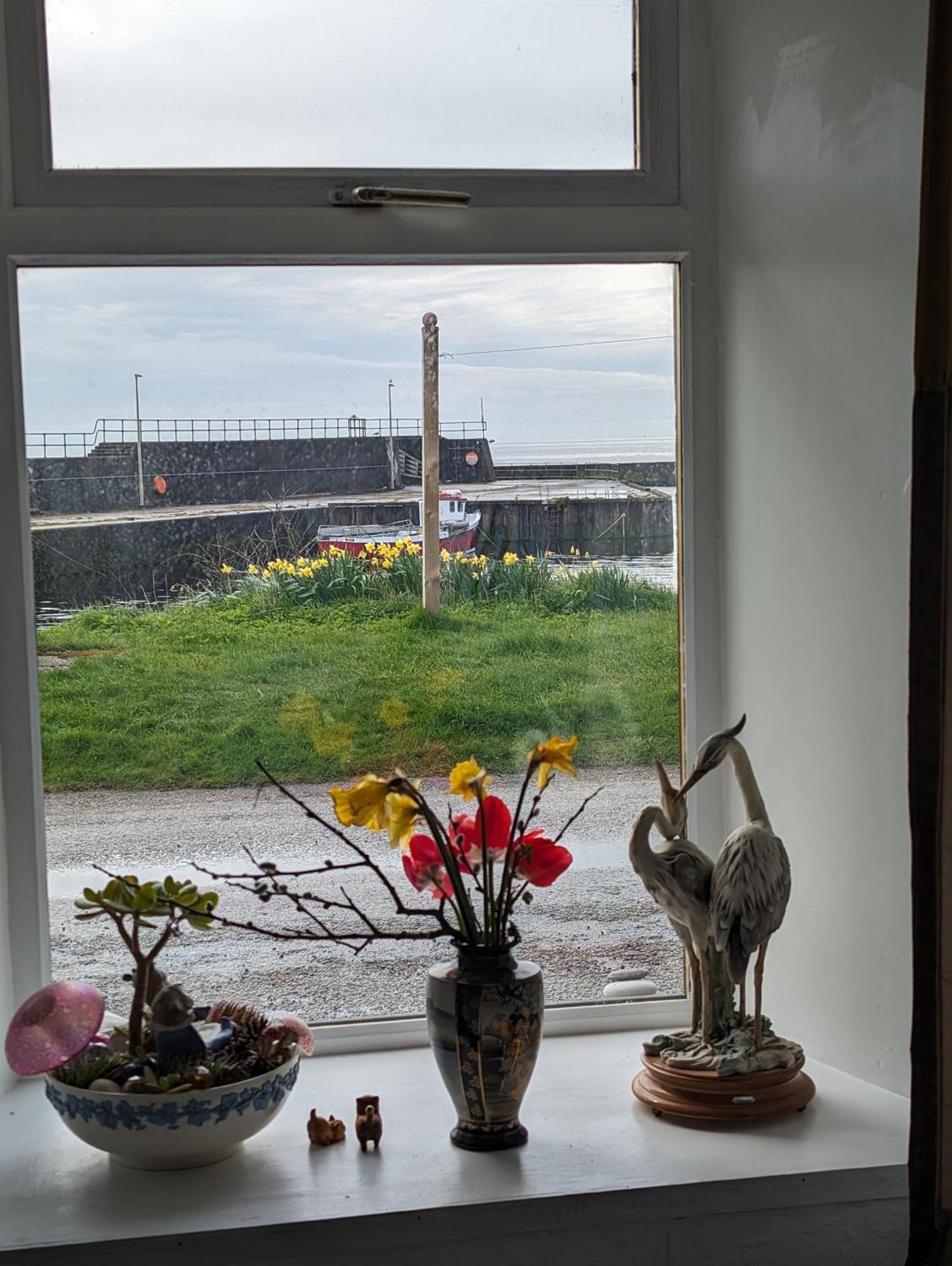 Bed and Breakfast Sea Song, Selkie House Helmsdale Zewnętrze zdjęcie